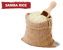 Samba rice